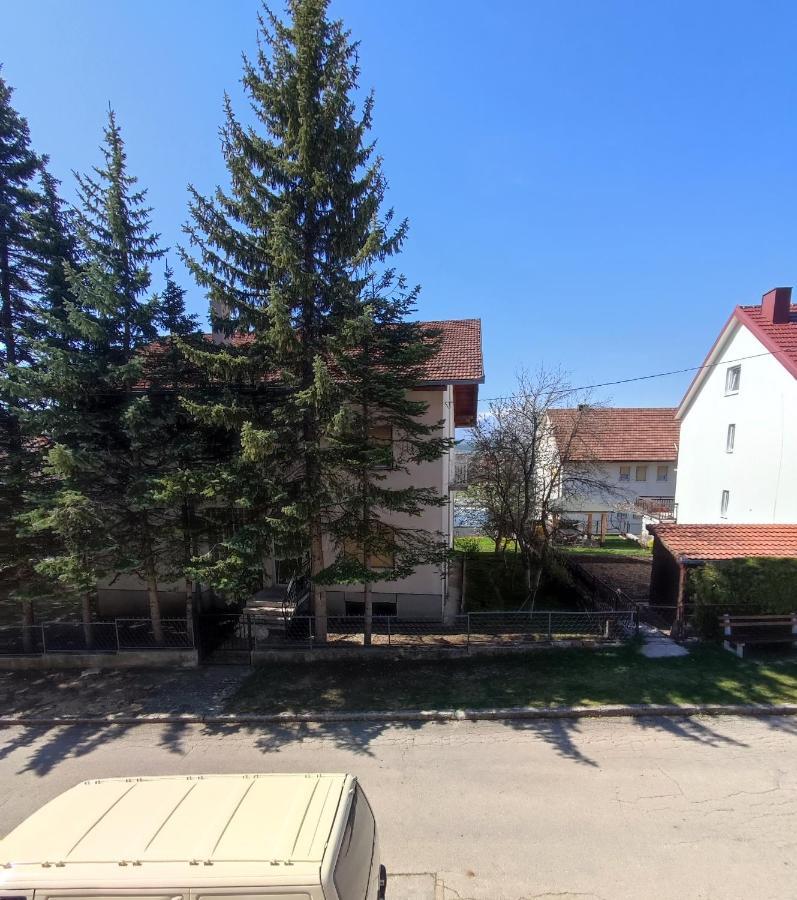 Bor Livno